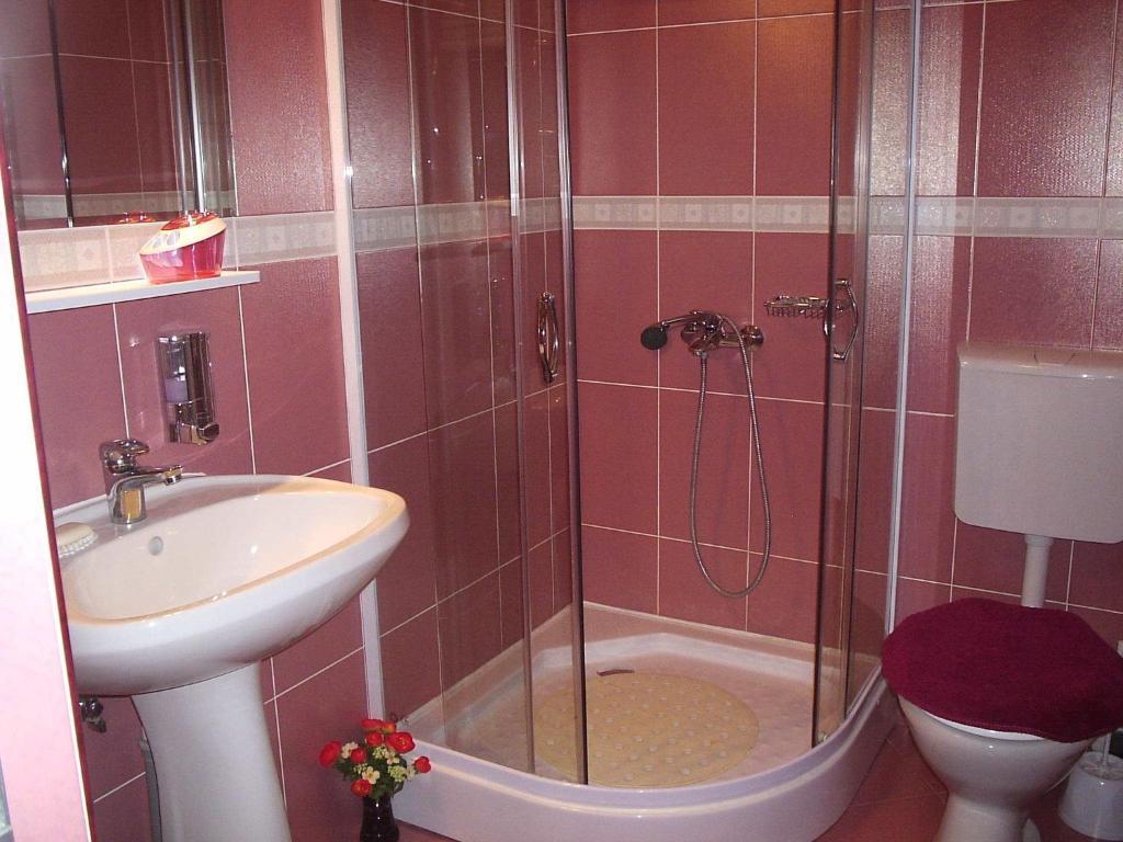 Pension Raluca Sinaia Oda fotoğraf