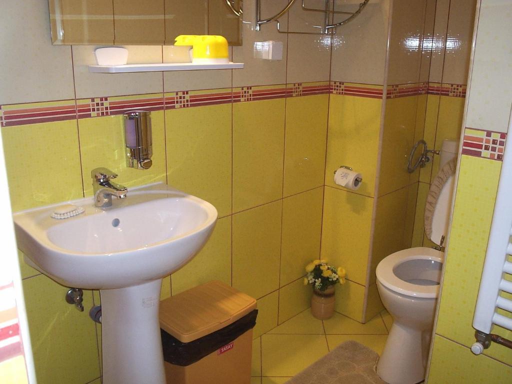 Pension Raluca Sinaia Dış mekan fotoğraf